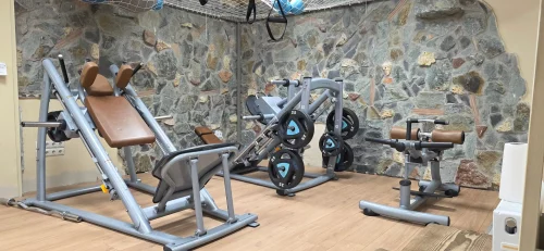 pigym gallery img18
